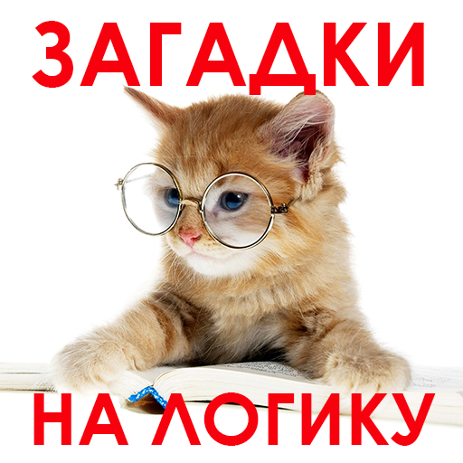 1000 и одна загадка. Загадки на логику. - Викторины