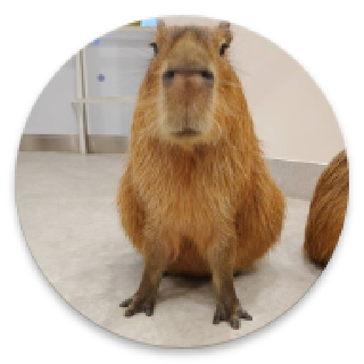 CapyDay - оценивай капибар!