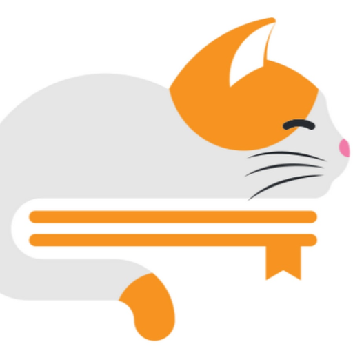 Vietnam Developer