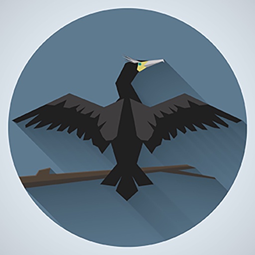 Cormorant Team