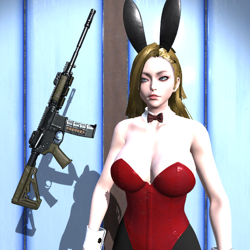 Hot Bunny Girl 3D Shooter
