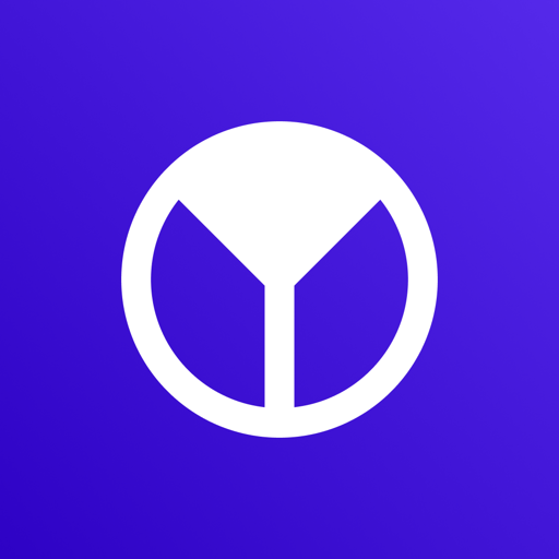 Финансовый менеджер Yoney Lite