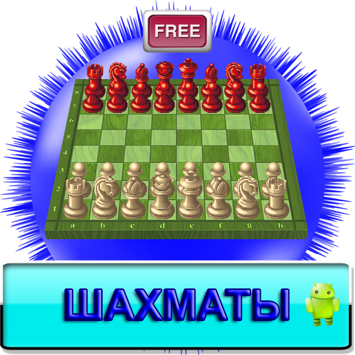 Шахматы
